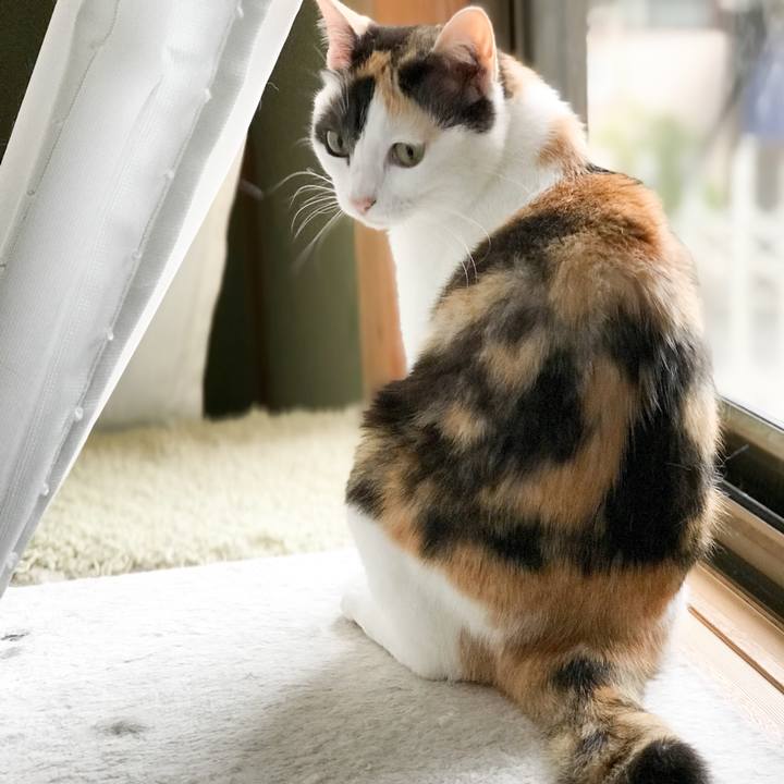 F3e55d1b b649 4f1a ba36 ddfb0f681629 1529892361989