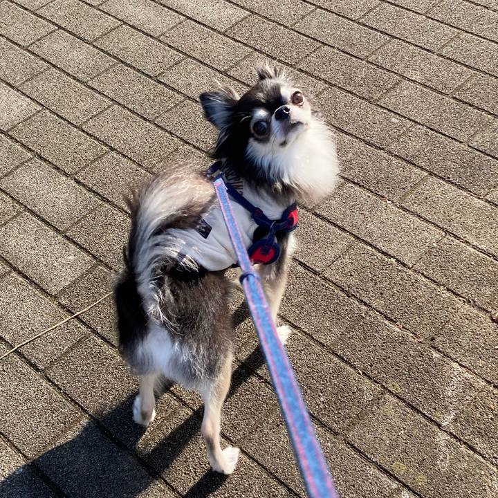 F3e560a7 b5fc 4ca6 92ab 8ccc4db54941 1704021905251