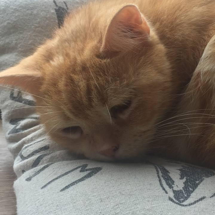 F3e563ac ee53 4092 b74c 56182a996f97 1569023281239