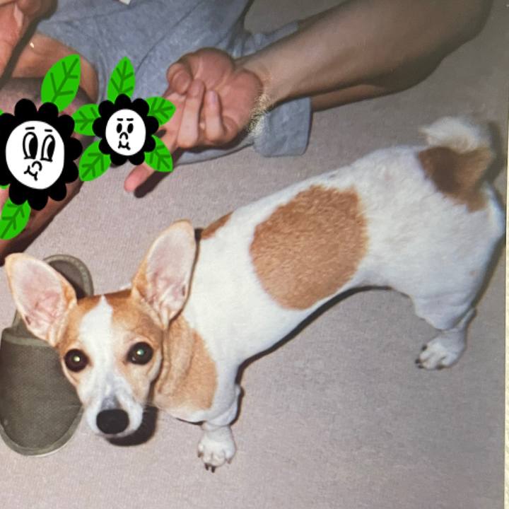 F3e5be43 ef84 495f 9c87 8af18b24c433 1606883205443