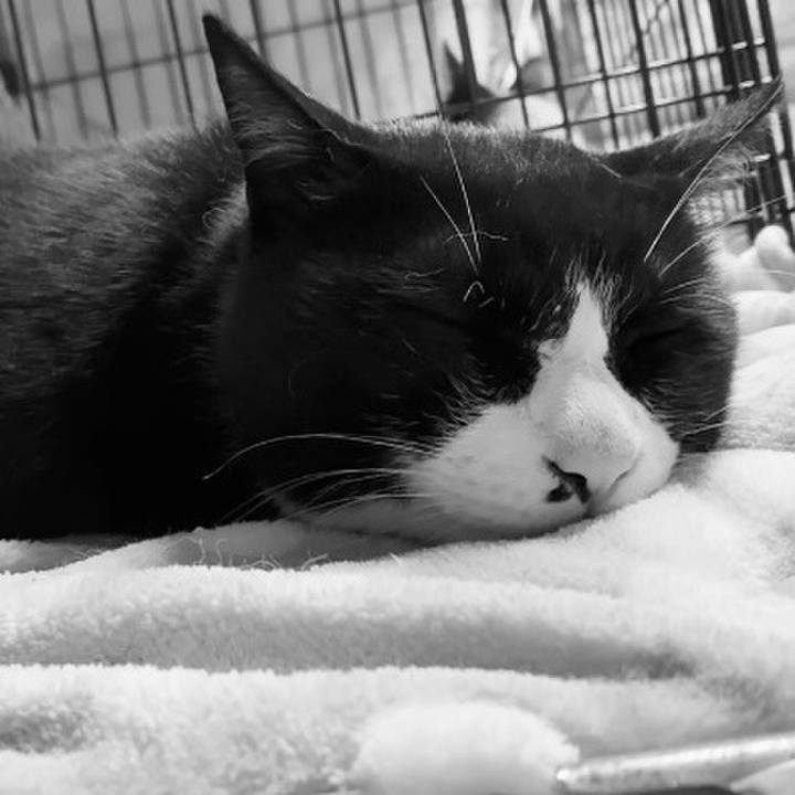 F3e5c3bb f497 41da 9593 40ad710847e9 1749470967911