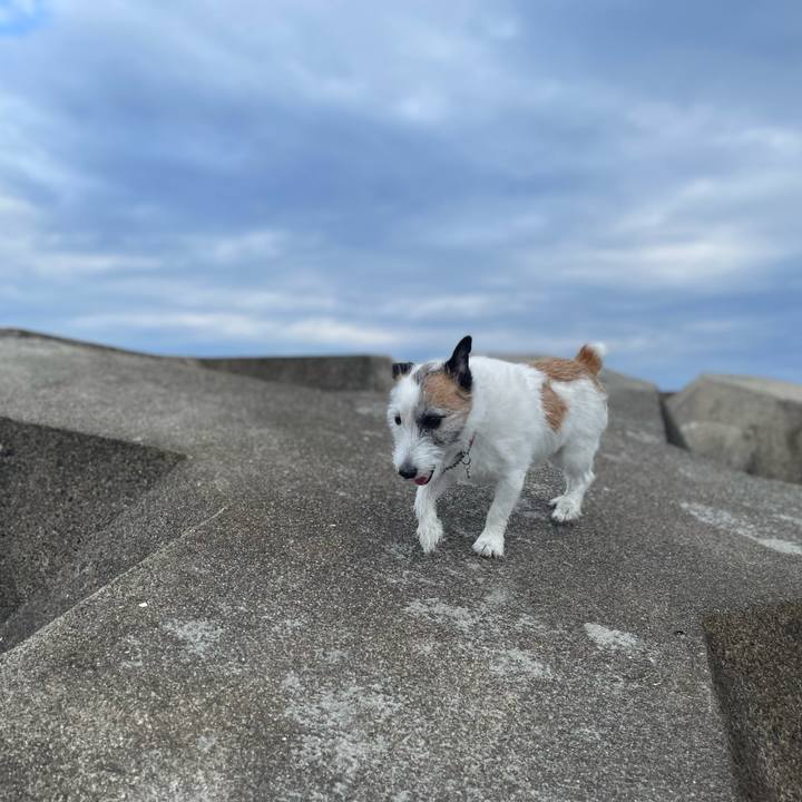 F3e5f4a7 4ff2 4691 8f66 656d8c06a76c 1751672670489