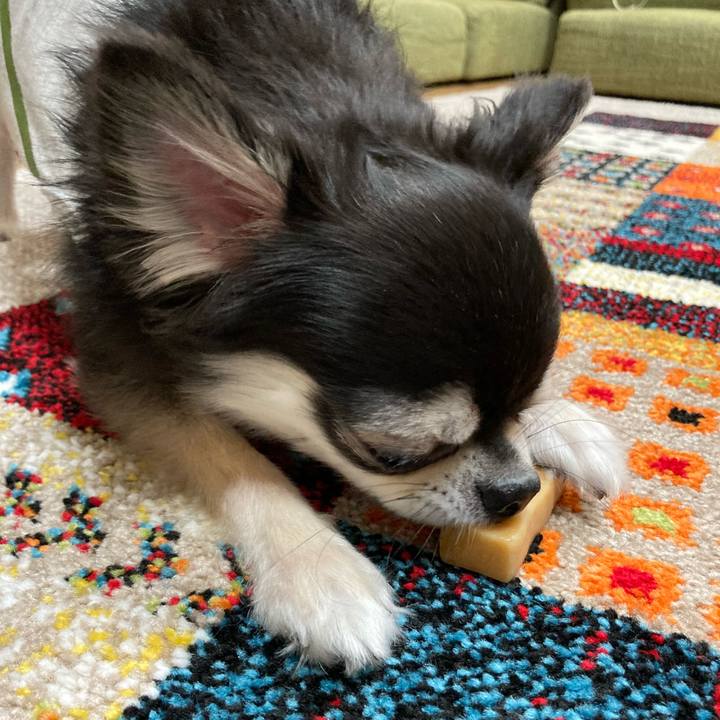 F3e621f7 cce6 4026 ada1 e6928f7a9475 1684597184759