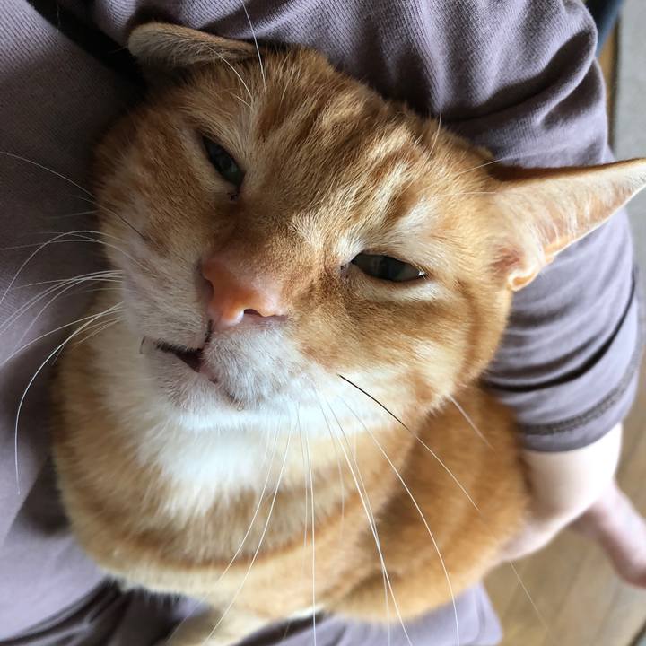 F3e63853 aab5 48db 99bd 284f33728be8 1722921206151