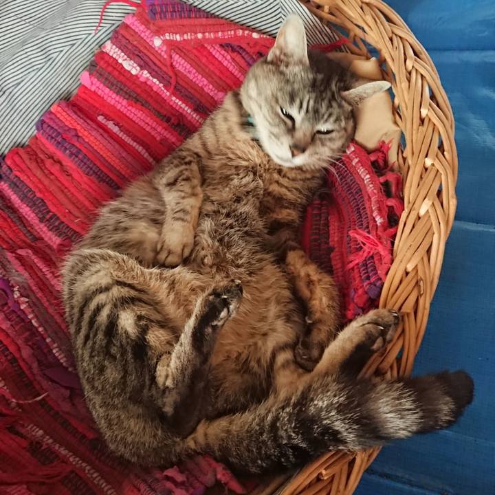 F3e64dd6 2cee 43e7 9d21 fa7412ff2a07 1558839197157