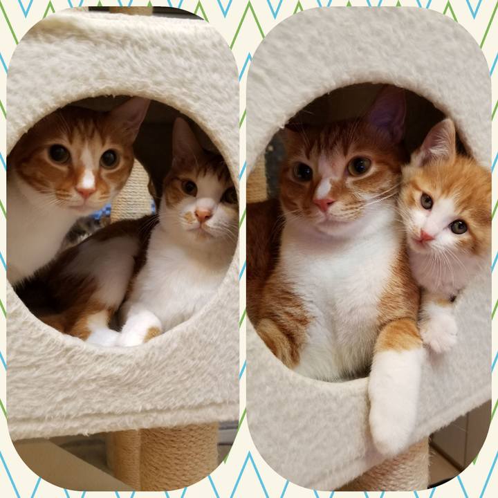 F3e66465 8446 4fa0 92cc f54511a46fb3 1540281922451