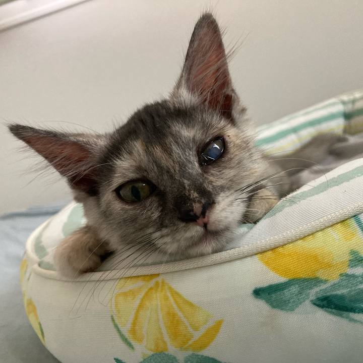 F3e677c3 65d4 4bea abe8 ef50b14fc42f 1693094828090