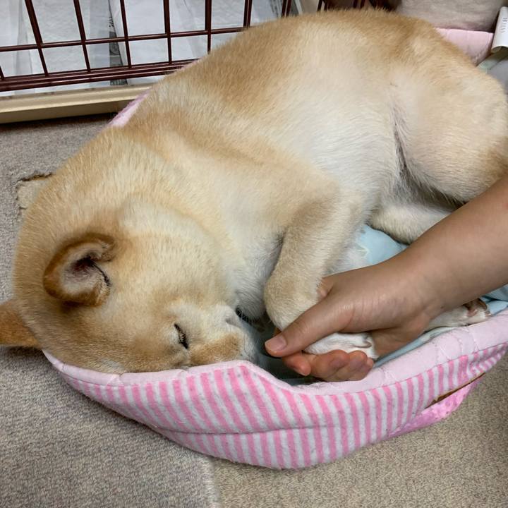 F3e69e69 1d92 4a9d be95 229b22c04143 1631965791966