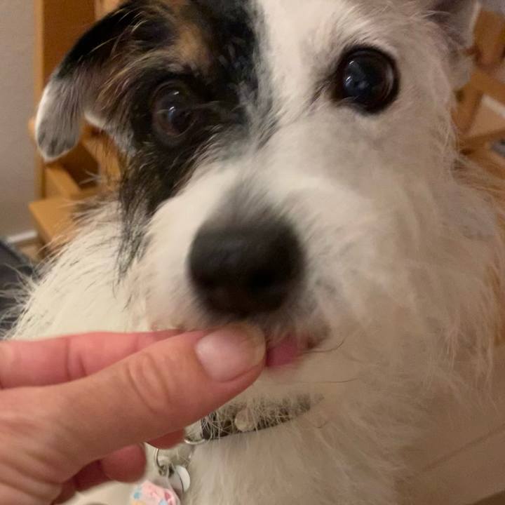 F3e6b126 8b17 4d90 9a12 3e4c000cc839 1661510053754