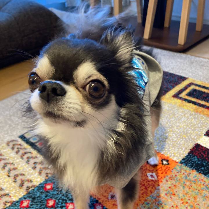 F3e6b334 14ba 4a12 9671 9404900919aa 1709999124385