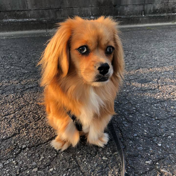 F3e6c00e 8d03 4db9 bae2 1c1239f97cae 1529875651996