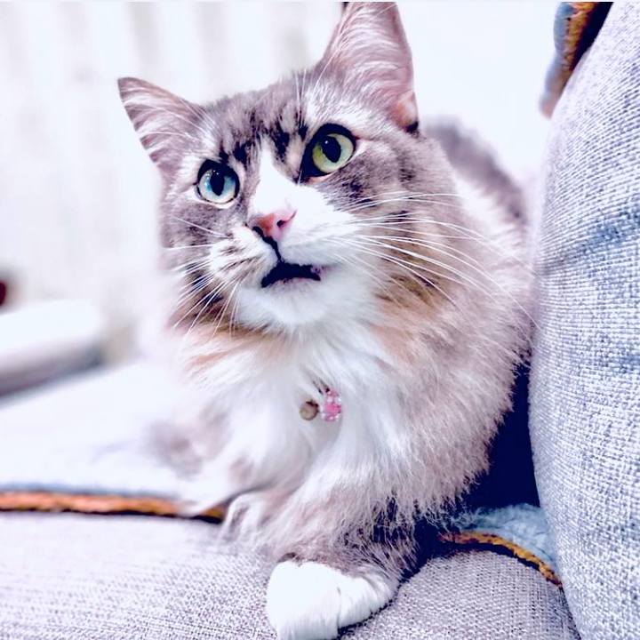 F3e6eafd d73c 4b91 a5a9 3ee4a5d2377d 1753544913842