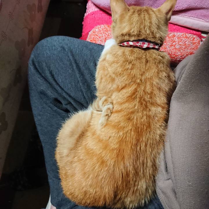 F3e7115e 0dcc 48d2 8d53 e10071c0f8c2 1560168223118