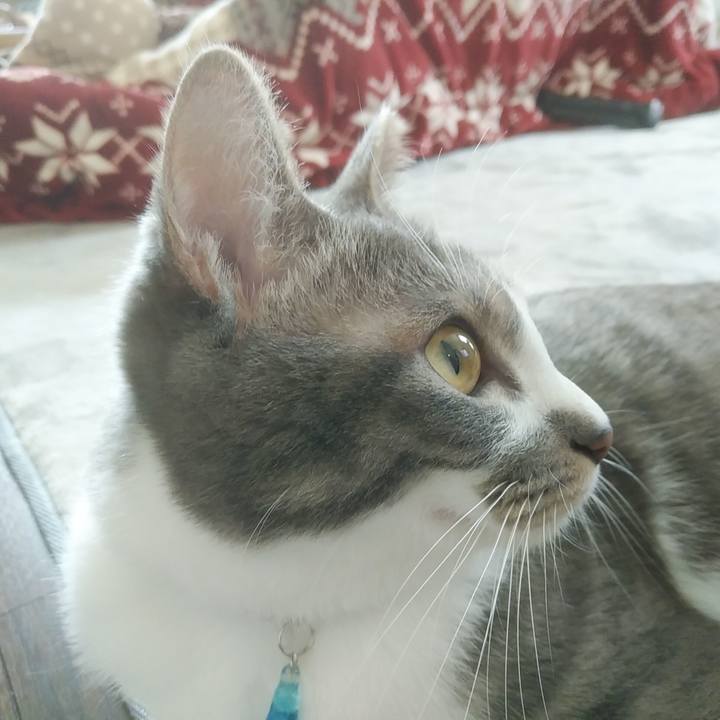 F3e7129d 815c 480b 89b8 022581fd9fc9 1587943982810