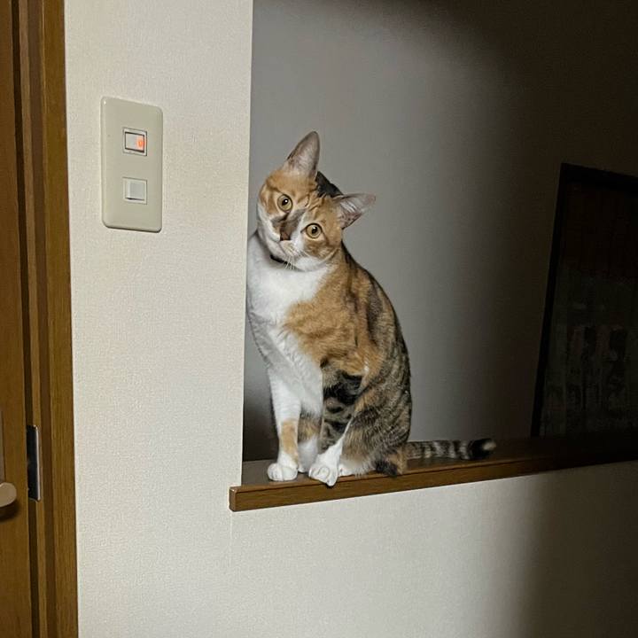 F3e71bfb 9f5a 4552 9297 062d0f90a1fa 1732054526034