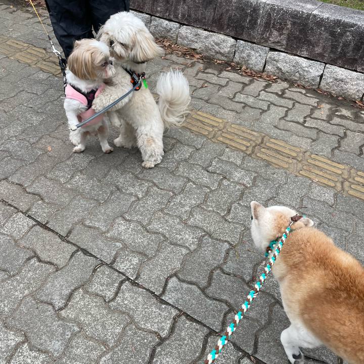 F3e74de2 5f86 45a1 8979 b2247c5e79bd 1700051096957