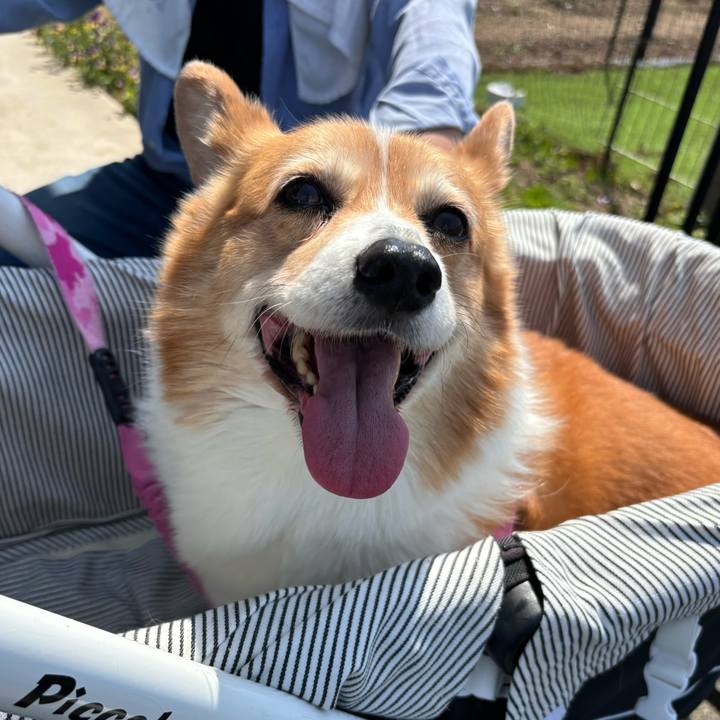 F3e758df 2e64 4281 aee7 b4654f98c11a 1744855020499