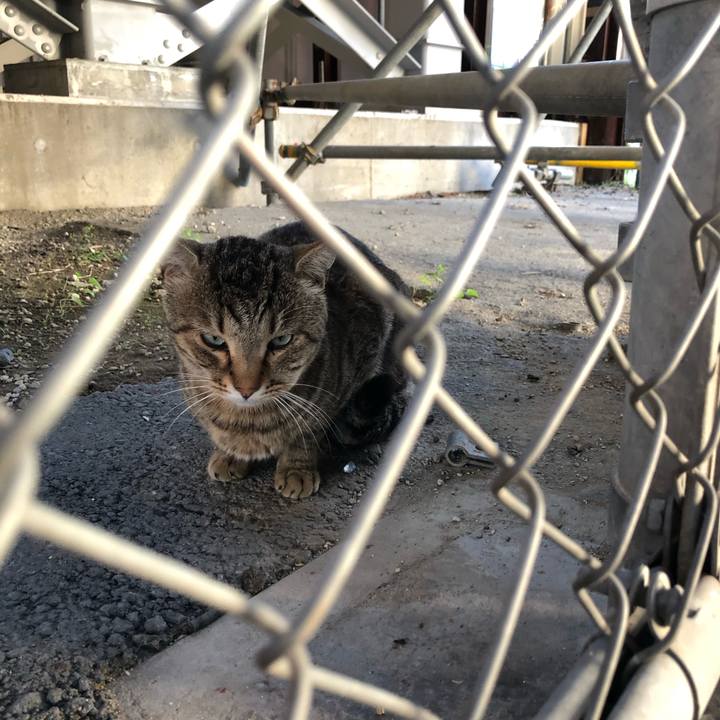 F3e7c037 cd4c 4209 8e01 d9021197d4c6 1575206033861