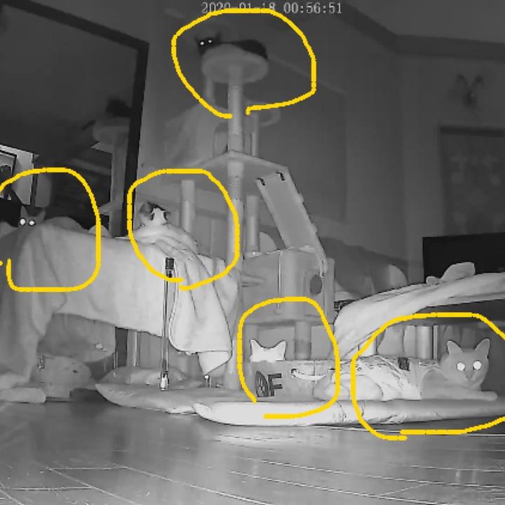 F3e7d4c0 fd35 4bab 92d6 a796770a6f31 1579277068648