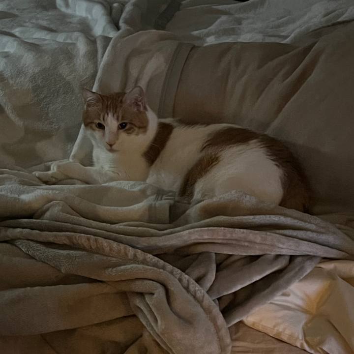 F3e7f3f5 b967 47f3 920e 16ba825f755c 1761140836484