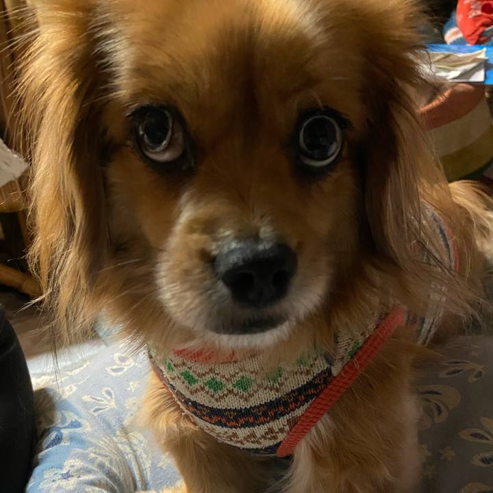 F3e80529 9329 49fd 992c 5f28ba7d84f0 1609796772802