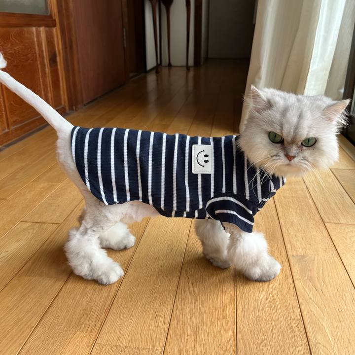 F3e80fb8 174f 4de0 8c59 e6622faf52d3 1714474142622