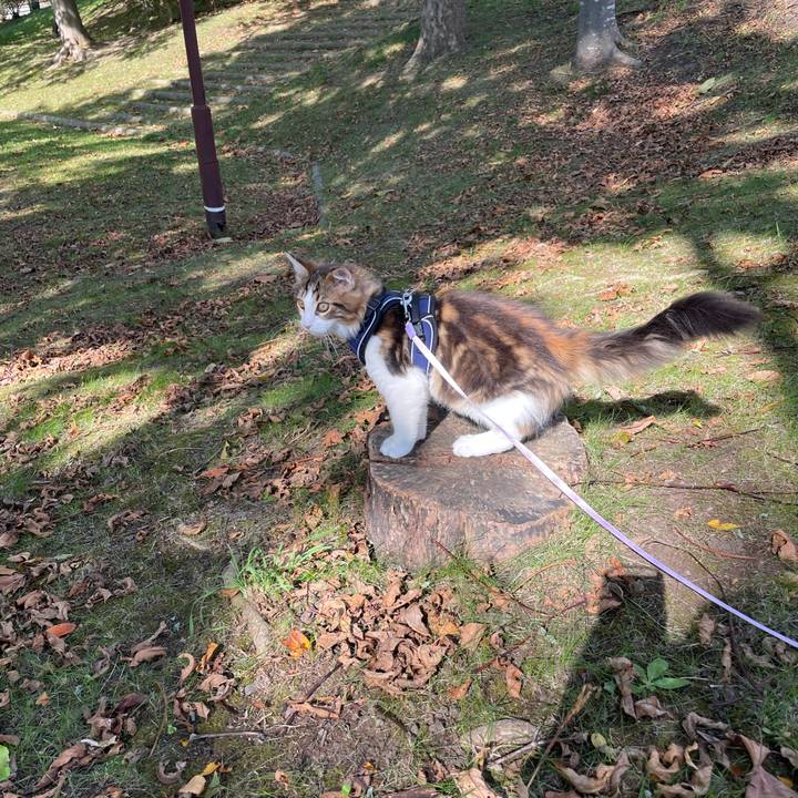 F3e83529 465f 4a36 8eb5 757a53a6b188 1635056611628