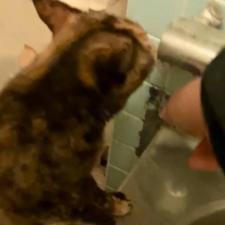 F3e865eb 2036 4914 9d9e 5197fa2d7ace 1741723070603