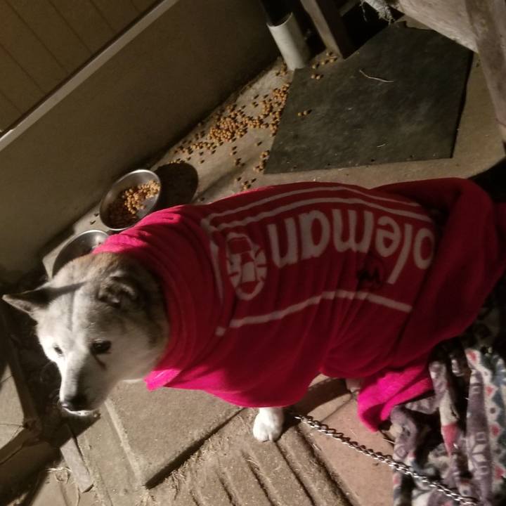 F3e87786 364b 42eb 9a45 fae5c19ddf4c 1675431426025