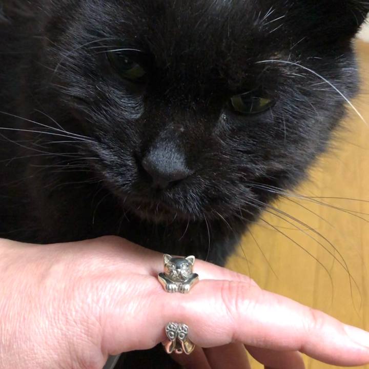 F3e87b24 8775 449c acf2 2342cb1e8870 1641456195516