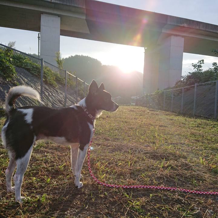 F3e88746 3f29 497f a72d 96bd70991125 1570790310637