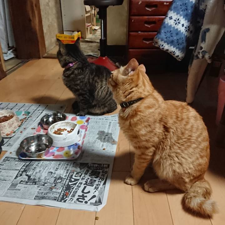 F3e8979e fba7 48e4 9e6b a5e53687bff4 1650977815737