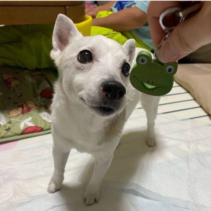 F3e8d1c1 8c36 4fe2 b7df 4a951e08d93e 1762645722774