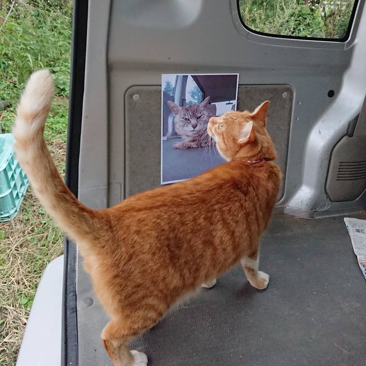 F3e93d02 17bf 4de9 ac88 8c31707f5023 1601105496921