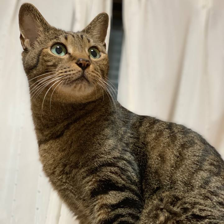 F3e94fa3 d403 411d 9e89 64708c298e52 1541810797906