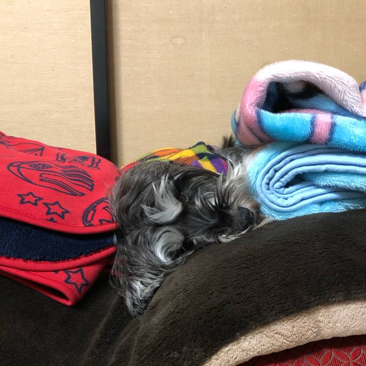 F3e97279 ea51 42c1 a086 a67abb838132 1549801981747