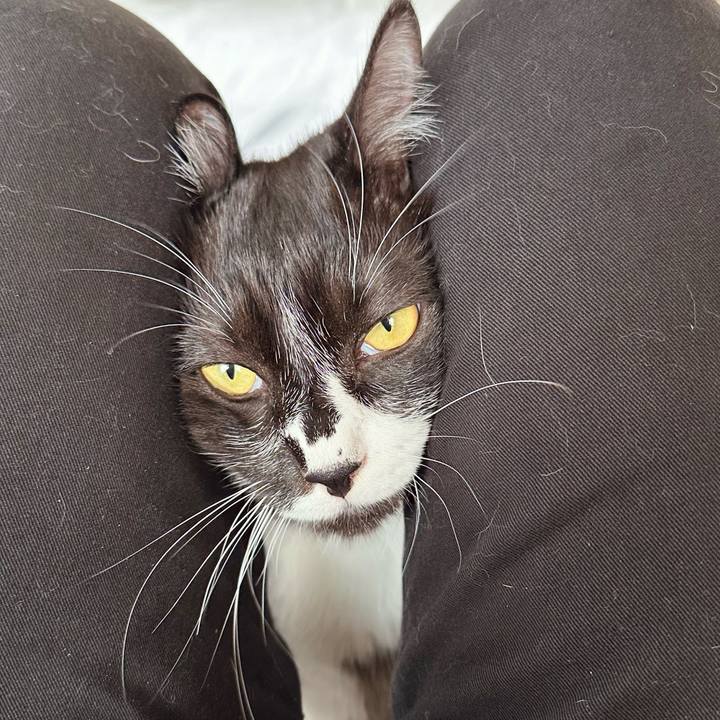 F3e9a92b 6ee6 4433 945b e3e6d20a9357 1759549076149