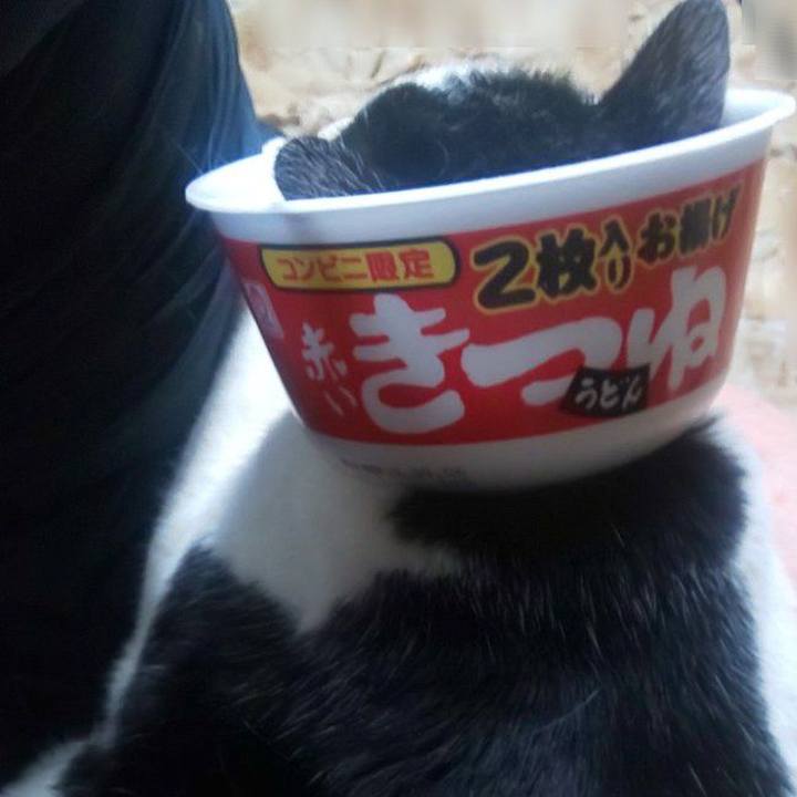 F3e9cc00 c44b 4b1e bd1e a6c707d94131 1750774424562