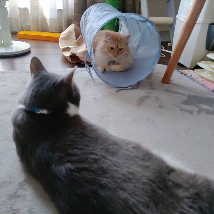 F3e9e09d e034 4509 939f 593198ac0448 1654160678101