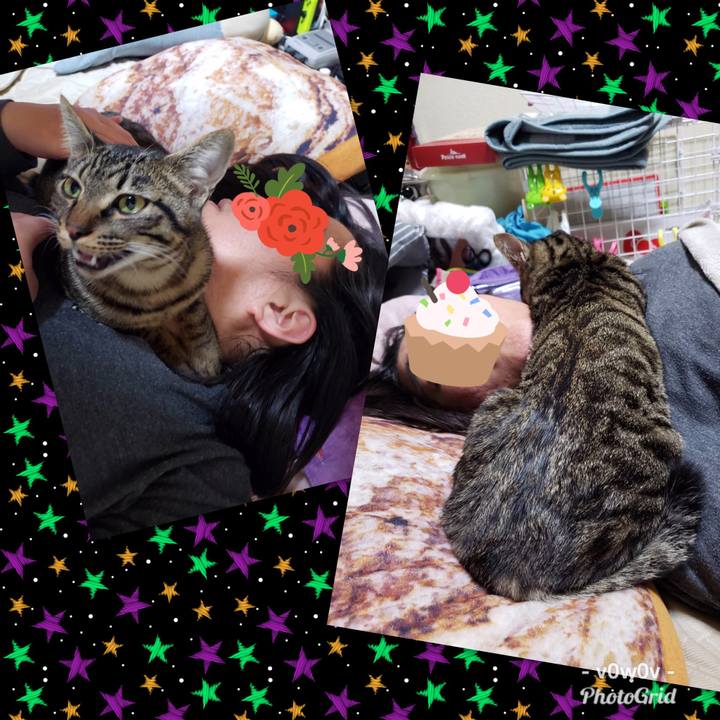 F3e9ea5a 939d 4346 bd5e 5dbd7d30e0c0 1546531904397