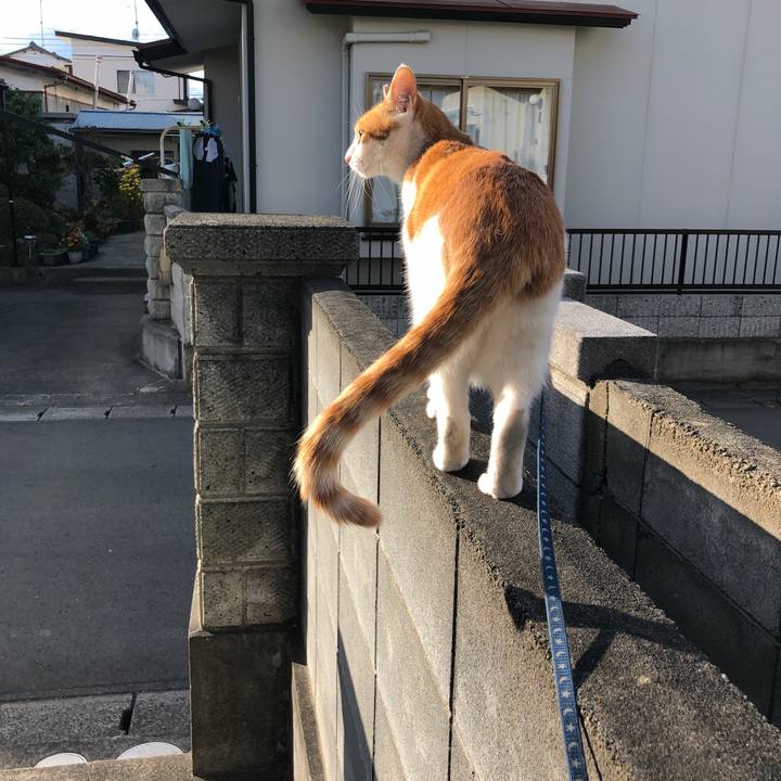 F3ea2ad0 8059 4b9f 9688 32e95099ac1d 1543305646516