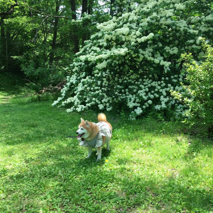 F3ea3bd6 b315 4557 9dc4 33e13f107193 1590921488476