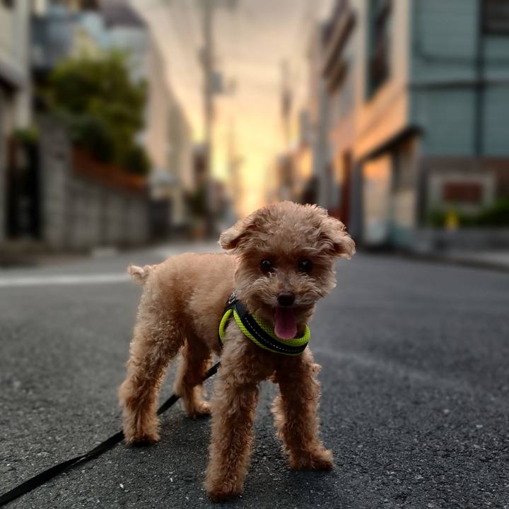 F3ea3c62 5b24 432b 9bef 4823e843a15a 1630013230498