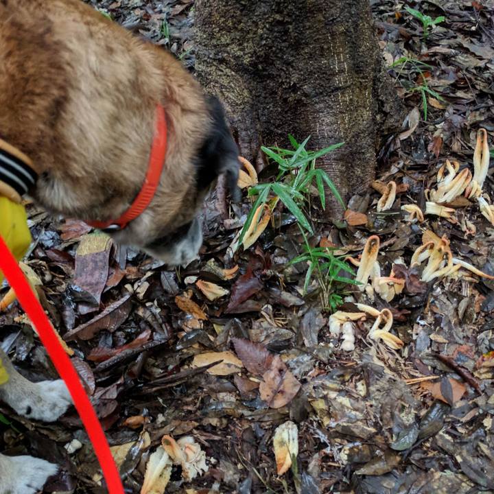 F3ea79bd 1dc7 46e1 89ab 5307a210fc2b 1507949990404