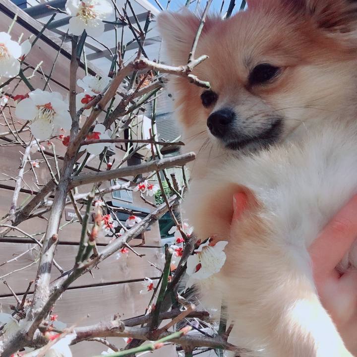 F3ea8425 a466 47bb 8947 a43acb7ffbd7 1520135075284