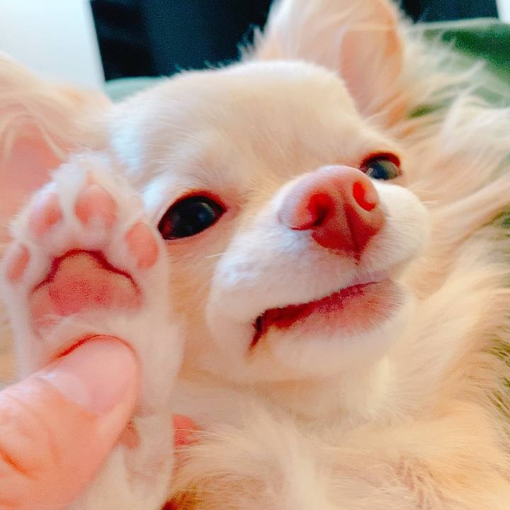 F3eaa77e 3799 4ee2 a2d9 dd4a6edf1488 1623470231956