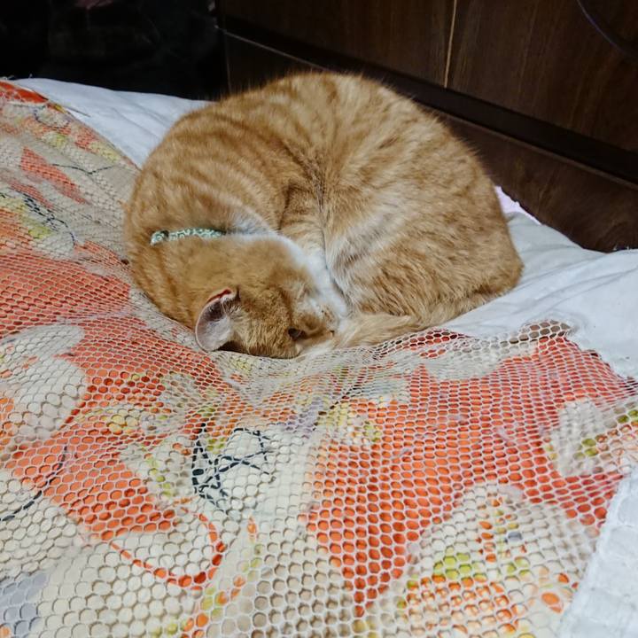 F3eacbbf 78f2 46dc 95b7 c44250655099 1584445530876