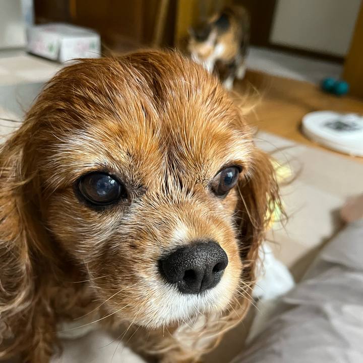 F3eb130e b453 4922 a242 49c414861eb0 1723243952530