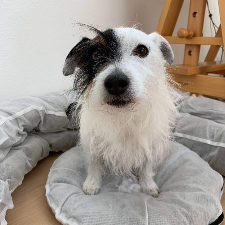 F3eb311f 55f4 49a1 8c09 53d9bce7e169 1649472567455