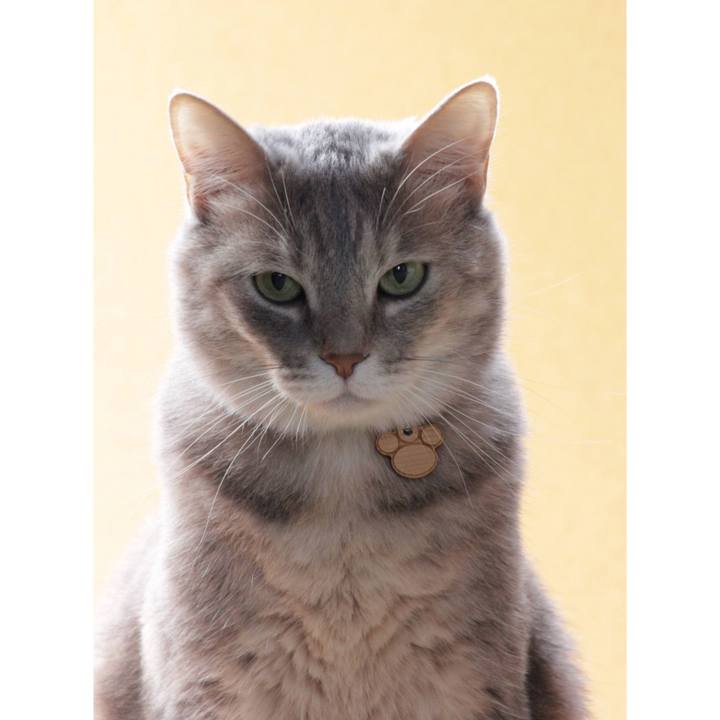 F3eb4880 8c95 45bf a371 88c2aecdc875 1622274557213